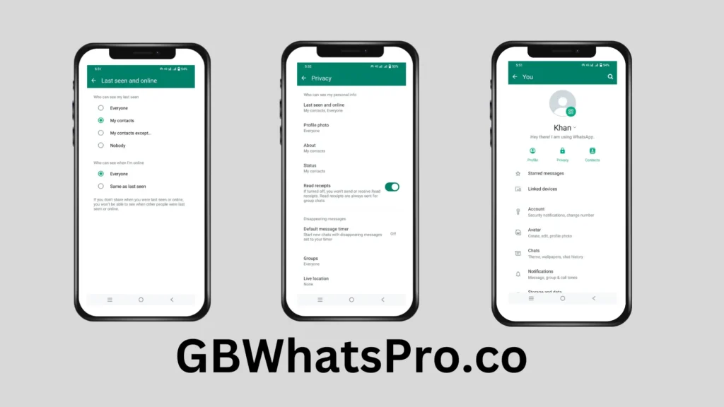GB WhatsApp Pro Privacy and Last Seen Settings